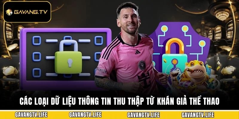 Các loại dữ liệu thông tin thu thập từ khán giả thể thao 