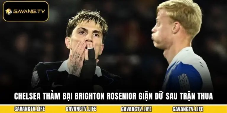 Chelsea Thảm Bại Brighton Rosenior