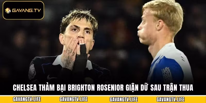 Chelsea Thảm Bại Brighton Rosenior