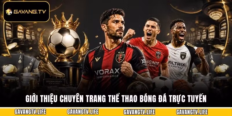 Giới thiệu chuyên trang thể thao bóng đá trực tuyến