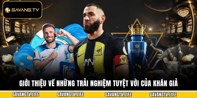 Giới thiệu về những trải nghiệm tuyệt vời của khán giả