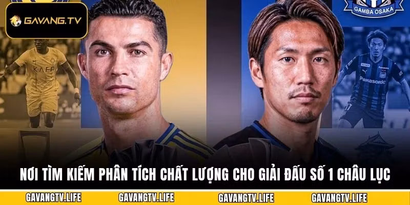 Nơi tìm kiếm phân tích chất lượng cho giải đấu số 1 châu lục