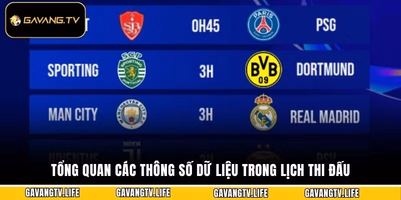Tổng quan các thông số dữ liệu trong lịch thi đấu